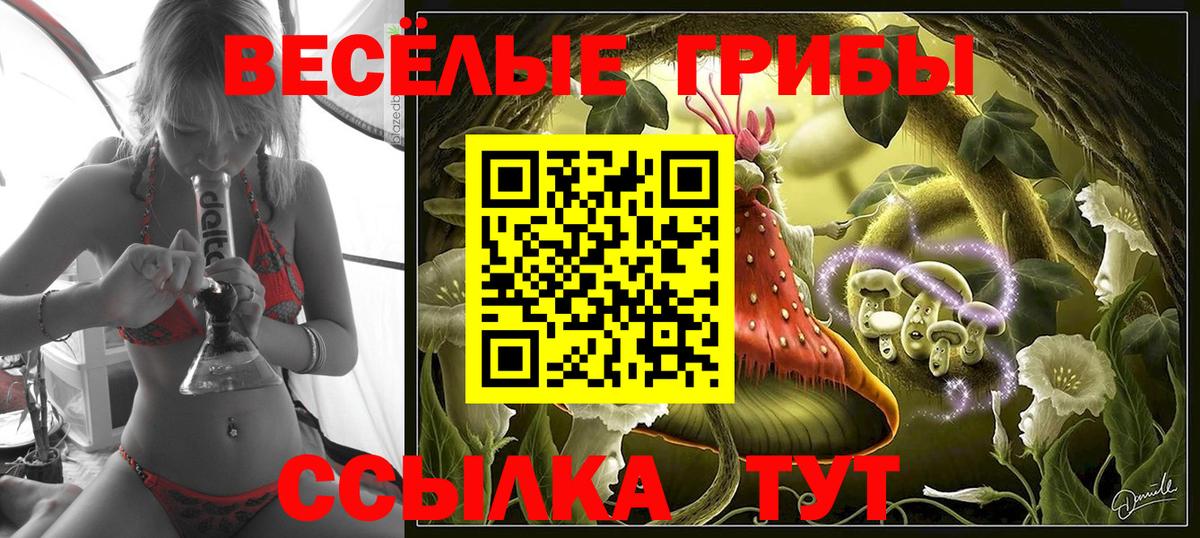Верхний Уфалей  наркошоп  Вход с VPN  Псилоцибиновые грибы прущие грибы 